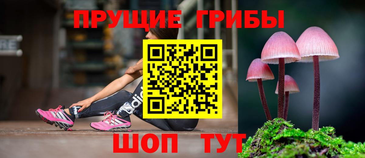 Галлюциногенные грибы мухоморы  Вход с VPN  наркота  Вятские Поляны 